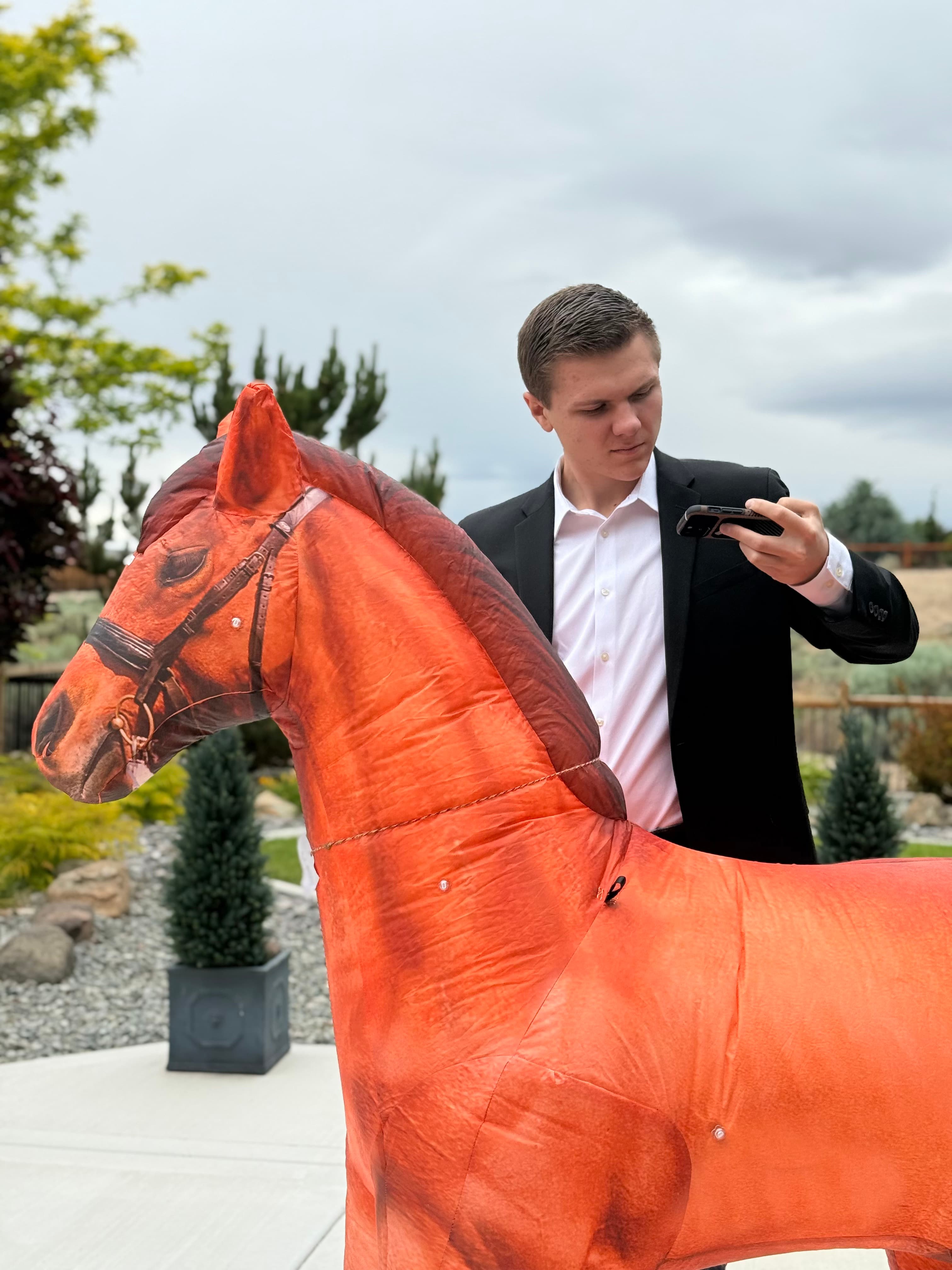 3D point-cloud scan of a horse's back used for saddle-tree fitting.